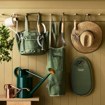 Gardening tools and accessories displayed on a wall.