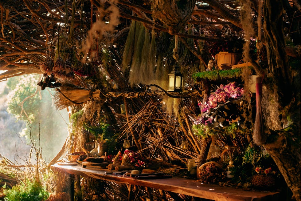 Shelter featuring a natural, rustic interior with various herbal elements. Shelter featuring a natural, rustic interior with various herbal elements.