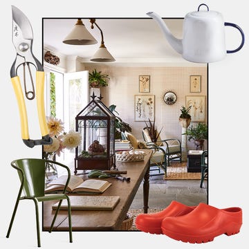 Gardening tools and a cozy living space.