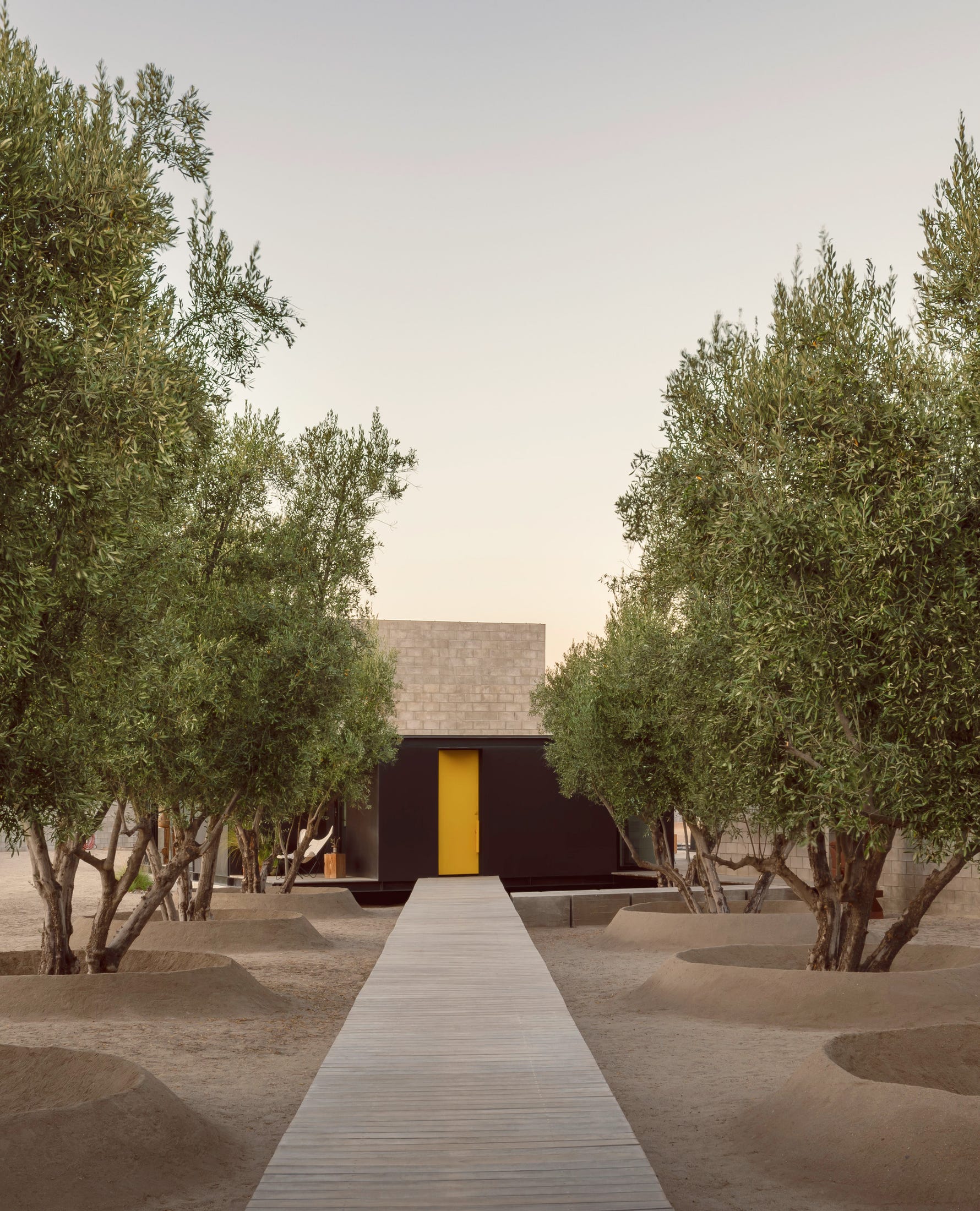 Modern architecture integrated into a natural landscape with olive trees. Modern architecture integrated into a natural landscape with olive trees.