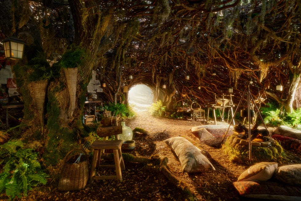 Cozy woodland shelter with seating and natural lighting. Cozy woodland shelter with seating and natural lighting.