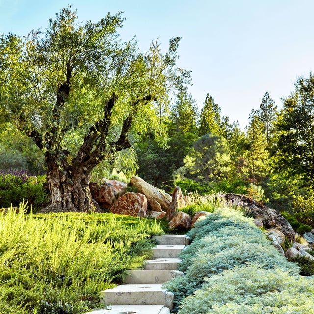 Dune Hai - ELLE DECOR dune hai elle decor