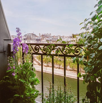 a view from a small terrace with flowering plants and ivy along an iron balustrade with decorative swirls, overlooking a river and city buildings beyond