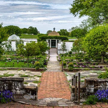 Upperville, Virginia United States - April 29:

Bunny Mellons O