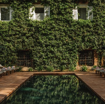 a tranquil pool area surrounded by lush greenery