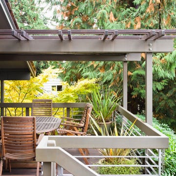 luxury patio surrounded by garden