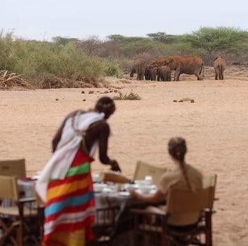 safari bellissimo in kenya